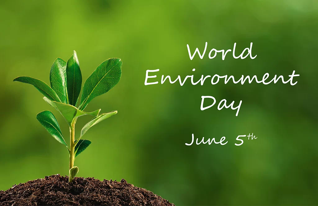 World Environment Day HD wallpaper